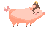 kcspgn.png