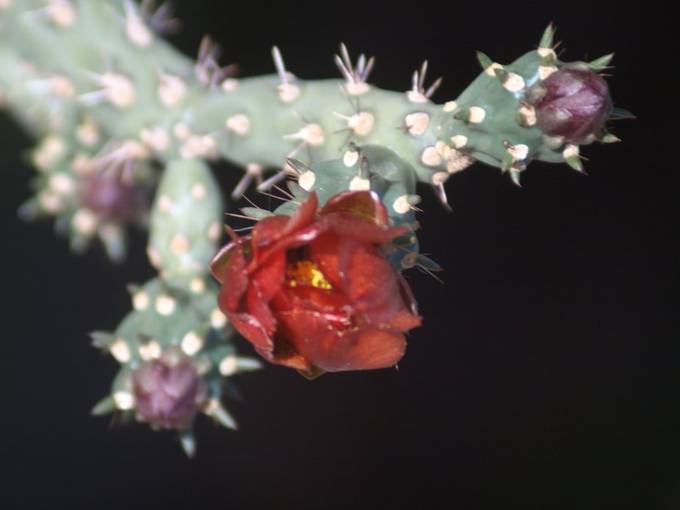 www.viewbug.com