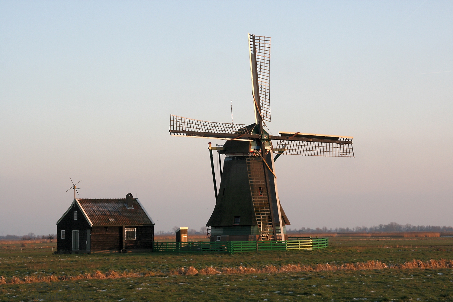 www.dutchnews.nl