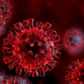 koronavirus.gov.hu