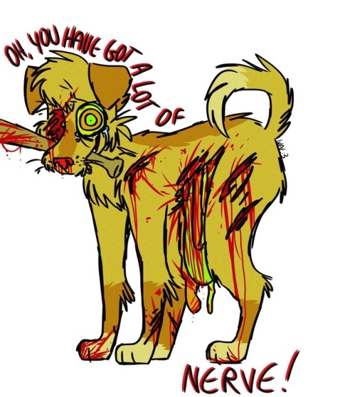 tumblr_ow2idsYpP61w54fa2o1_500.jpg