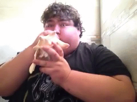 H4FvvTP.gif