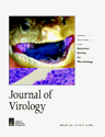 jvi.asm.org