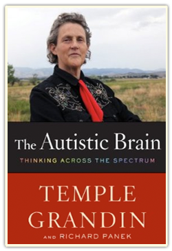 TheAutisticBrain.png