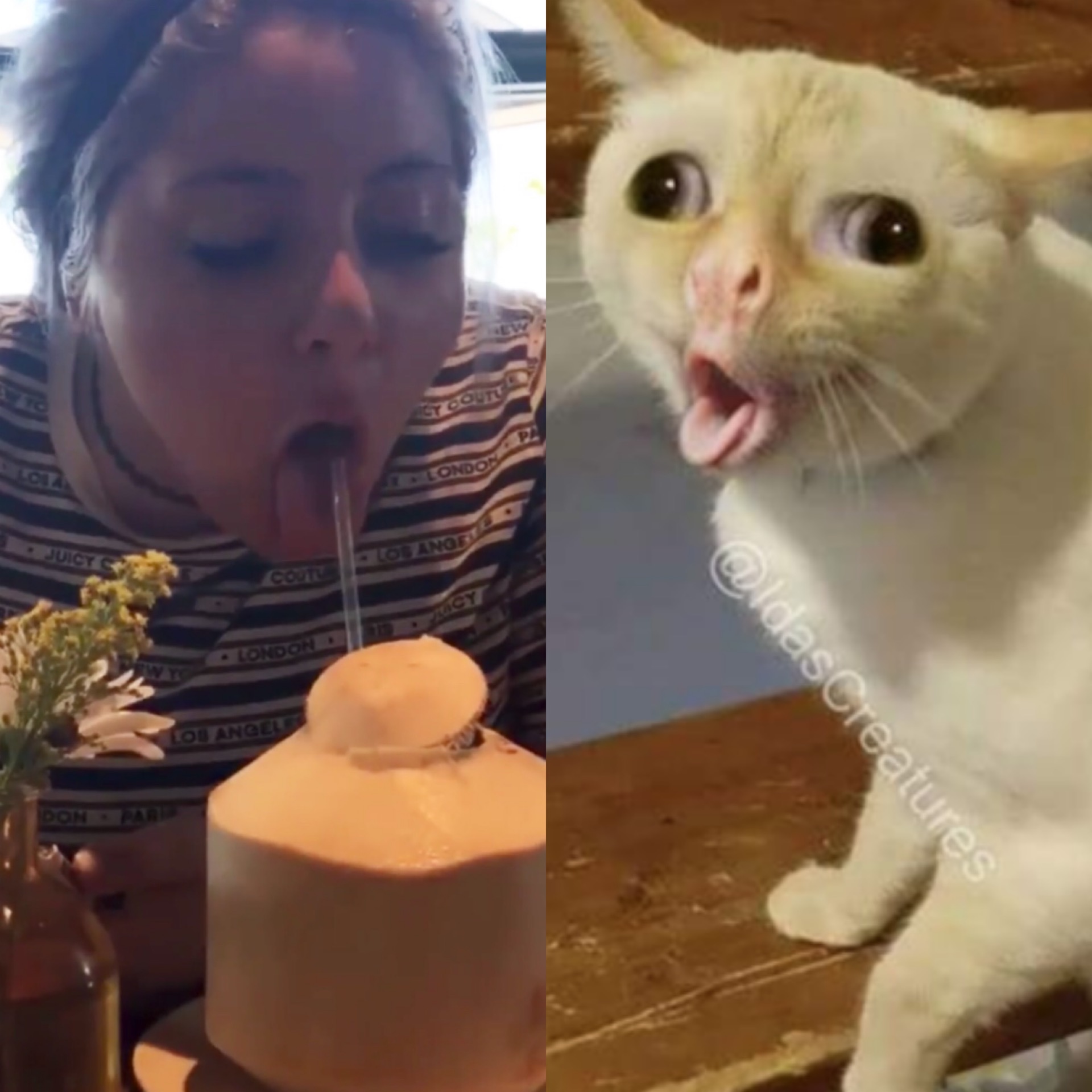 1560382826634.jpeg