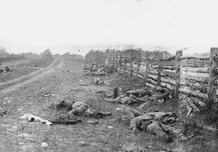 antietam-bodies.jpg