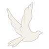 www.kapr.com