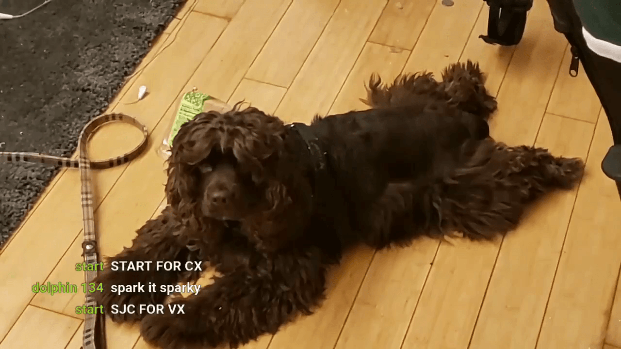 neatclip.com