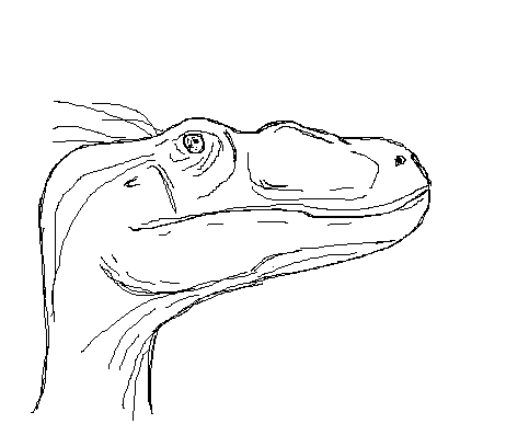 Untitled.png