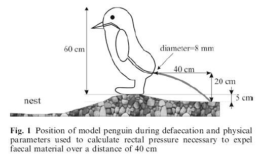 penguin.JPG